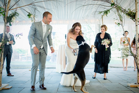 Saratoga Wedding Officiant and Wedding Celebrant  Rev. Joy Burke, Albany Wedding Officiant Celebrant, Adirondack Wedding Officiant Celebrant